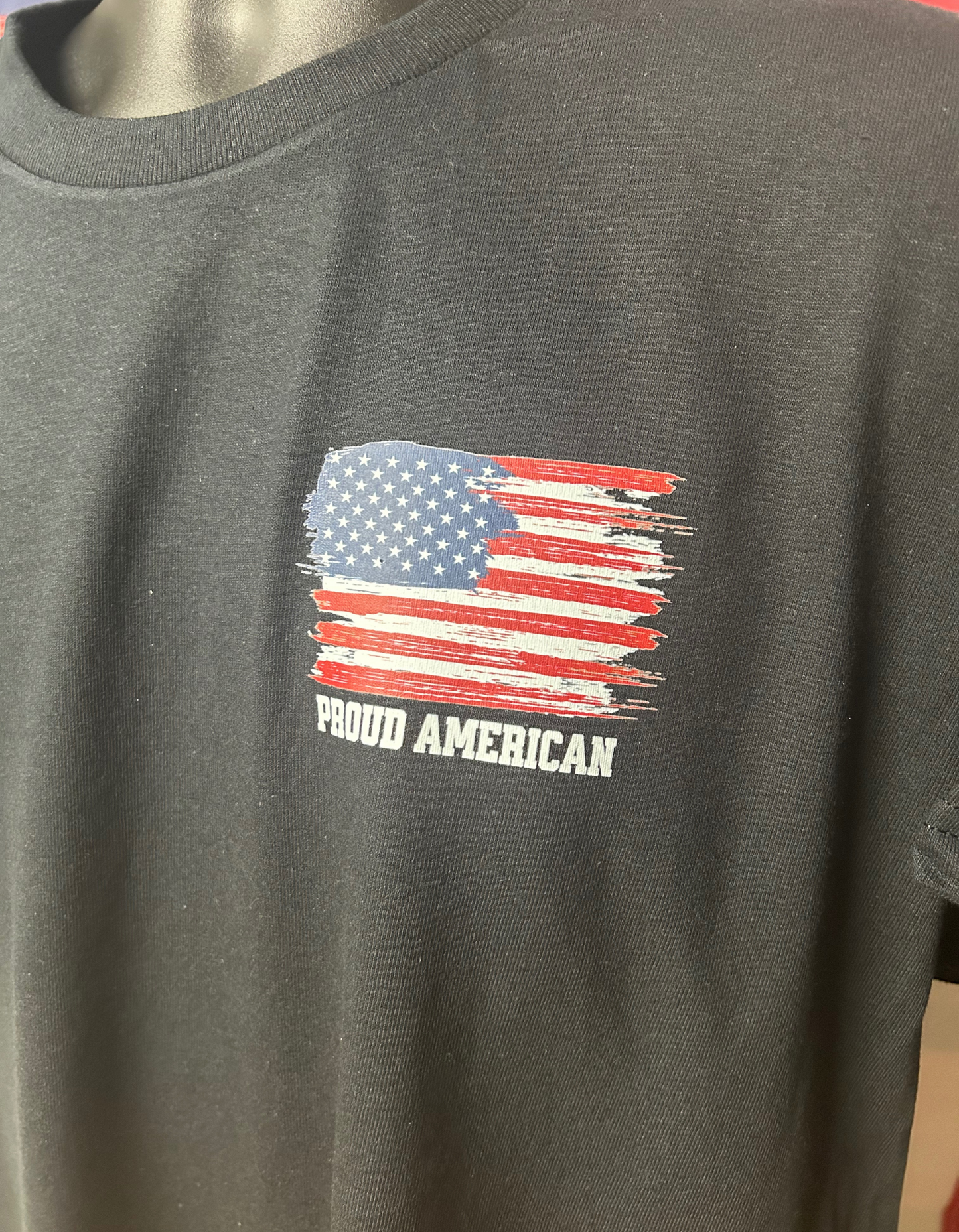 MY PRIDE FLAG MY PRONOUNS ARE USA T Shirt