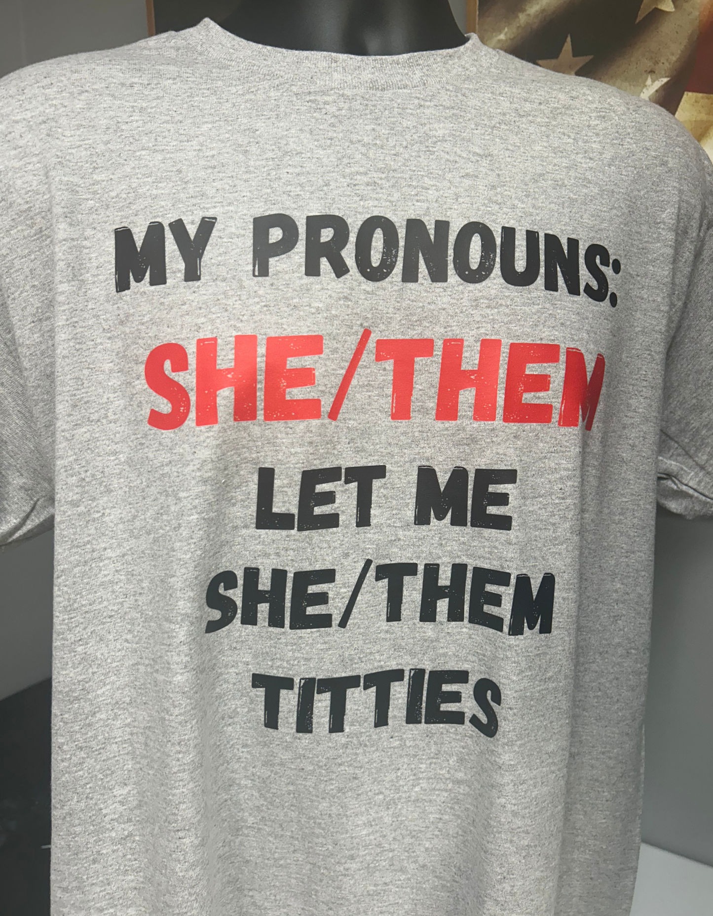 MY PRONOUNS: SHE/THEM T SHIRT